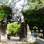 Beer Garden