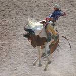 Riding High At The Rodeo