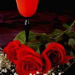 Birthday Roses