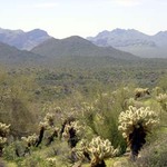 Rugged Country