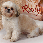 Rusty 
