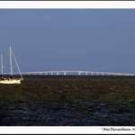 Evening cruise on the Bay