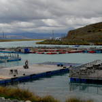 Salmon Farm