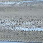Patterns in the Sand