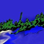 Save Mangroves