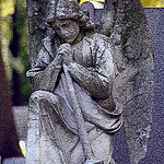 Angel Watch