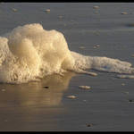 Sea Foam