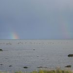 Sea rainbow