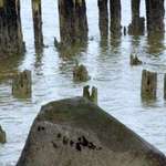 Broken Piles