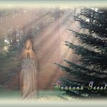 Seasons Greetings