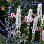 Secret Garden