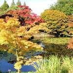 September Bliss