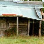 Old Horse Stables