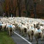 On the move