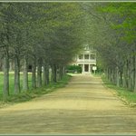 Shirley Plantation,Charles City,Virginia,USA.