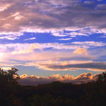 from my window 3