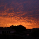 Skyonfirelf