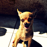 smile