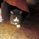 Farewell to Smokey