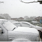 Snow Sunday