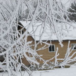 snow wonders