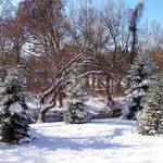 second snowfall