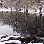Winter pond