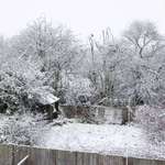 Snowy morning