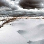 Snowdrifts