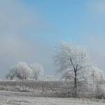 It snowed today!