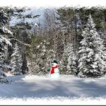 Snowman