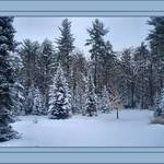 Fresh Powder