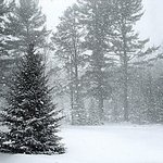 Snow