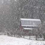 snowy barn