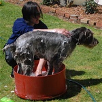 Soap Suds