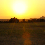 soccer field