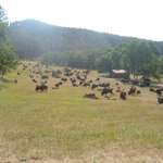 summer vacation in south dakota 8