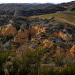 Southern Landscape
