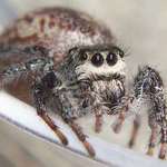 Here's Lookin' at You!