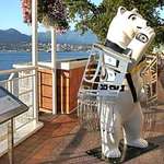 Spirit Bear (Chicklat Spirit Bear)