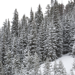 Springtime in the Rockies