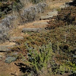 Steps