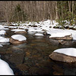 Stream in Winter