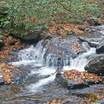 November Stream