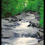 Stream
