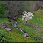 Springtime