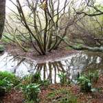 Gentle Stream