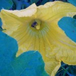 Summer 2011 055