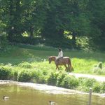 Summer riding