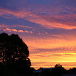 Summer Sunset 5